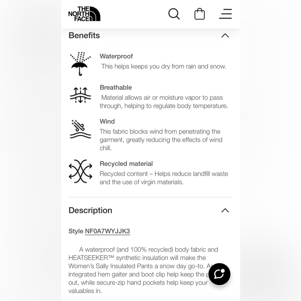 The North Face Women's Sally Insulated Snow Pants - Picture 3 of 7